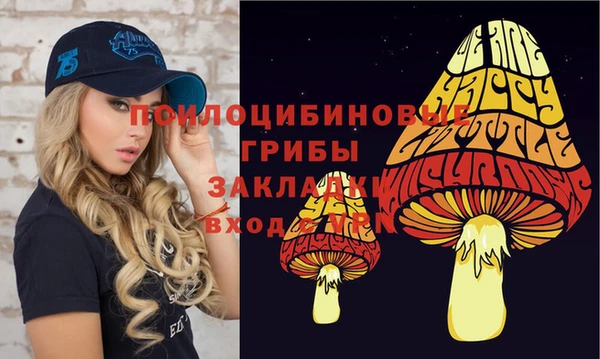 не бодяженный Ладушкин