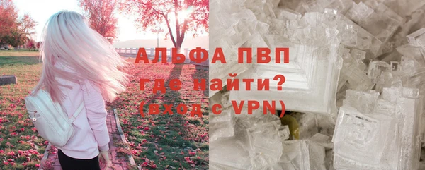 гашик Куйбышев